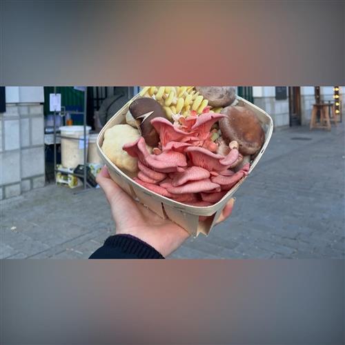 Prednáška s ukážkami: Drž hubu!