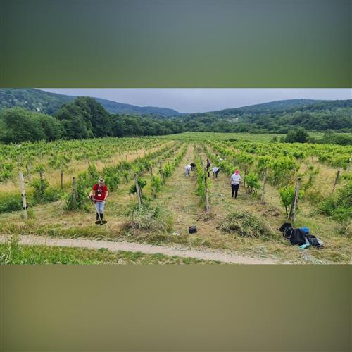 Naše Mesto - Najväčšie podujatie firemného dobrovoľníctva na Slovensku
