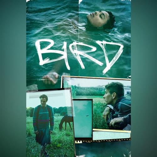 Ozveny svetových festivalov: BIRD