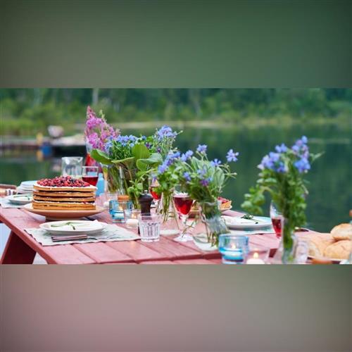 Predzáhradkárske gala s KOLO: Rastlinky, knihy a ocenenia