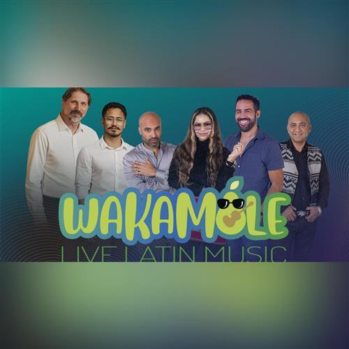 Koncert Pod lipami: Wakamole