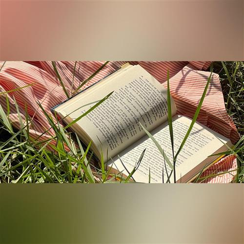 Silent reading session