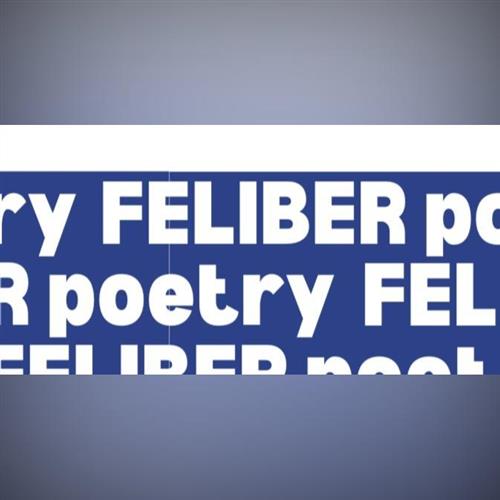 Feliber Poetry - medzinárodný festival poézie