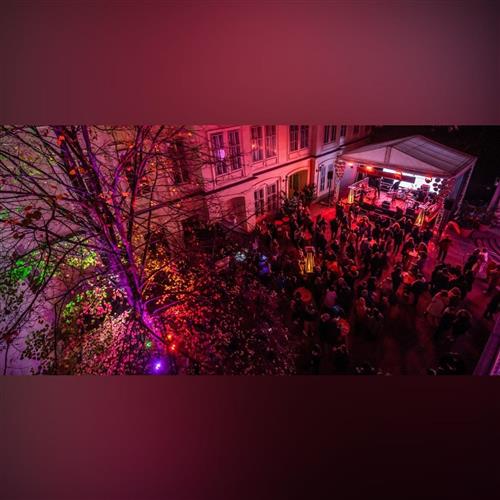 Festival mladého vína
