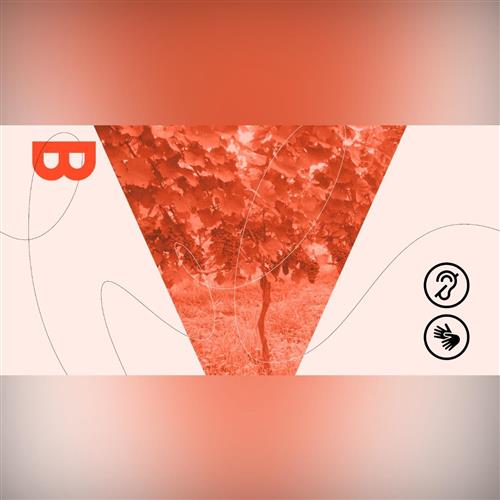 Rande s mestom pre Nepočujúcich: Ako si Bratislavčania svoje vína chránili a strážili