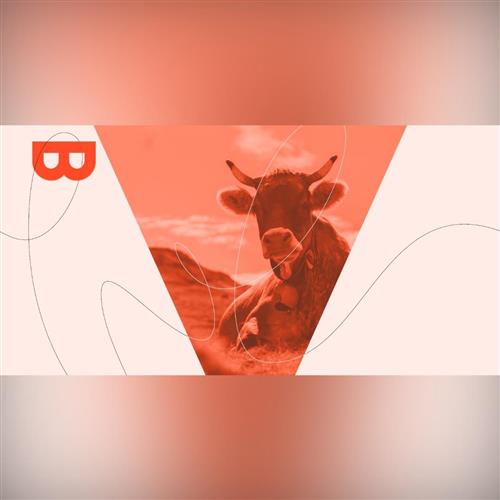 Rande s mestom: Keď sa trh zapíjal vínom