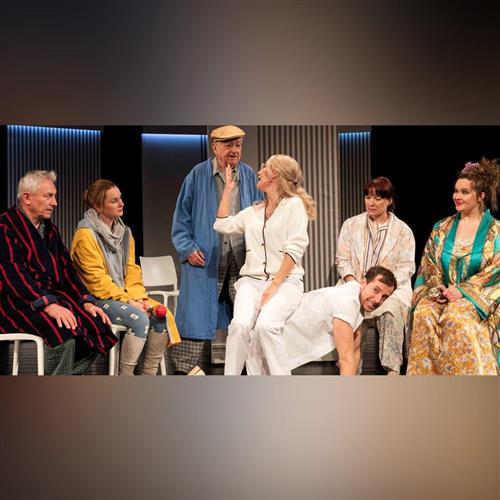 Pavilón B (Stanislav Štepka a Radošinské naivné divadlo)