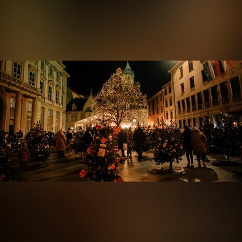 Vianočný les – vyhodnotenie súťaže