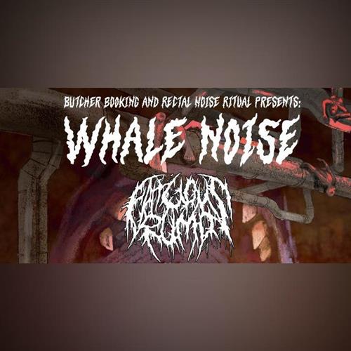 Whale Noise #1