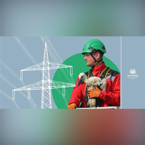 Interaktívna prednáška: Život bociana nad napätím