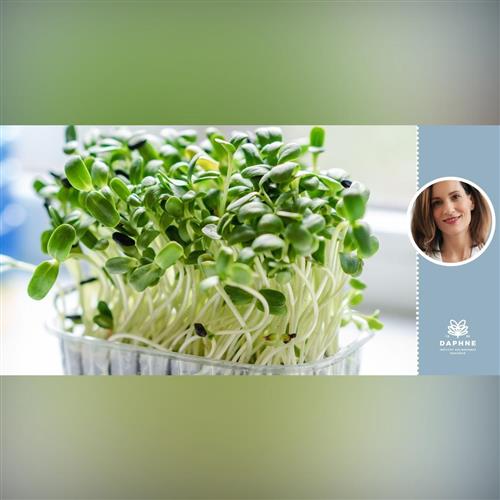 Workshop: Príbeh malinkého semienka