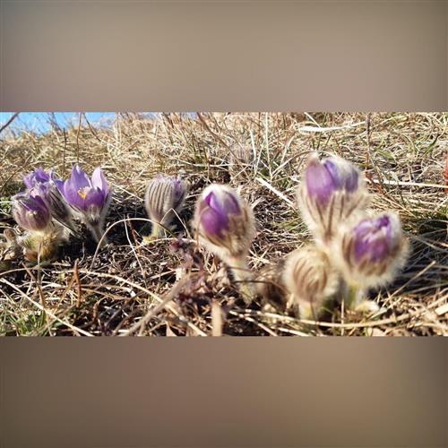 Poklady Sandbergu - komentovaná prehliadka