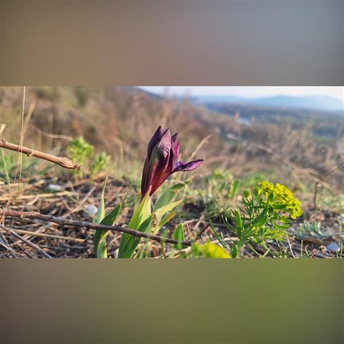 Poklady Sandbergu - komentovaná prehliadka