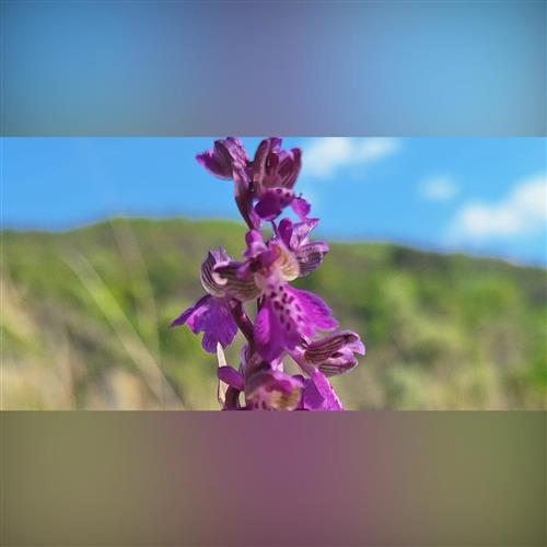 Poklady Sandbergu - komentovaná prehliadka