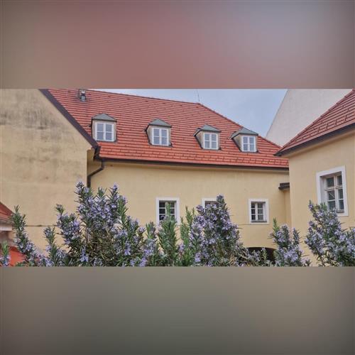 Deň otvorených dverí Slovenskej katolíckej charity