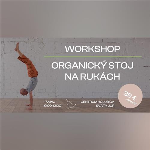 Workshop: Stoj na rukách – organická cesta k rovnováhe