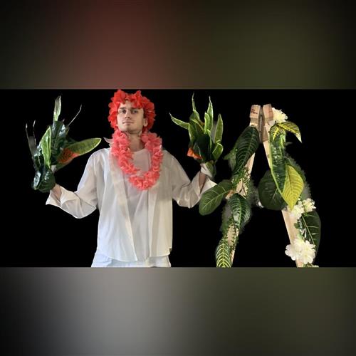 Spoza Voza: Ha-Havaj