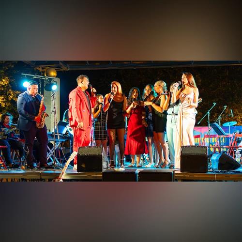 Galakoncert Divých Makov