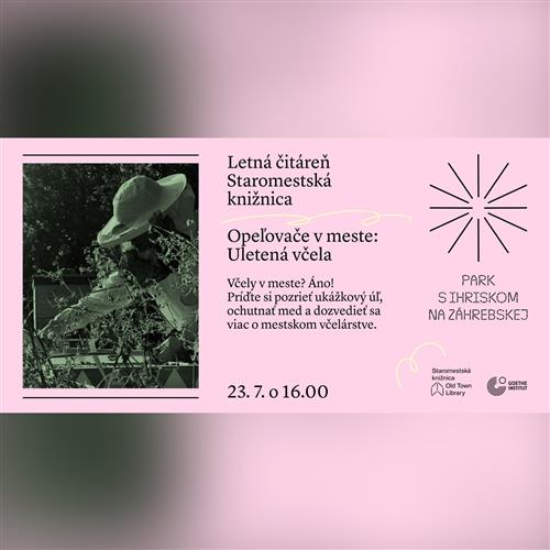 Opeľovače v meste: Uletená včela