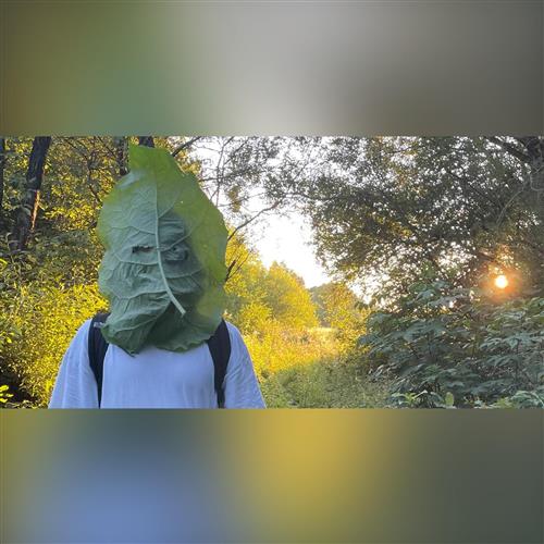 Marek (krst albumu) + Astris Lapsus / PINK WHALE