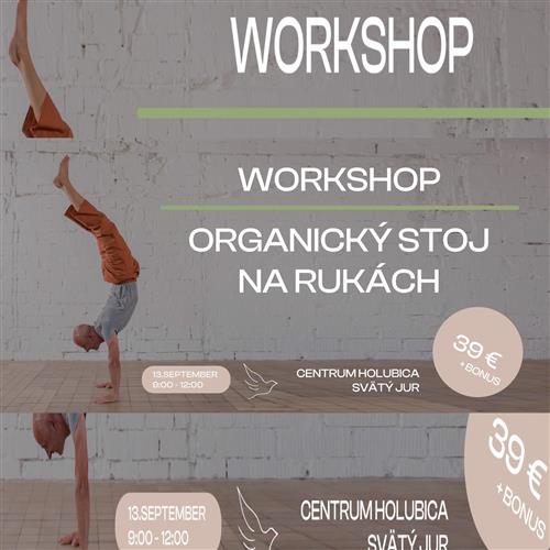 Workshop: Stoj na rukách – organická cesta k rovnováhe