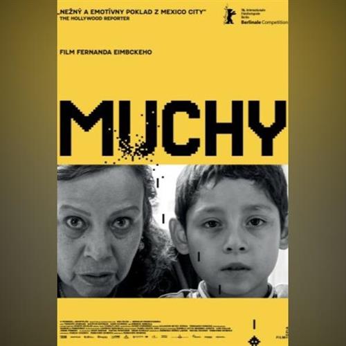 Ozveny svetových festivalov: MUCHY