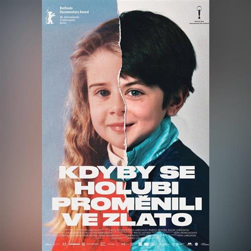 Domáca úroda: Keby sa holuby premenili na zlato