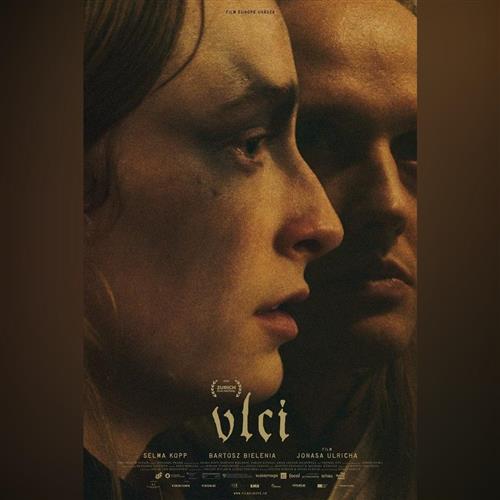 Ozveny svetových festivalov: VLCI